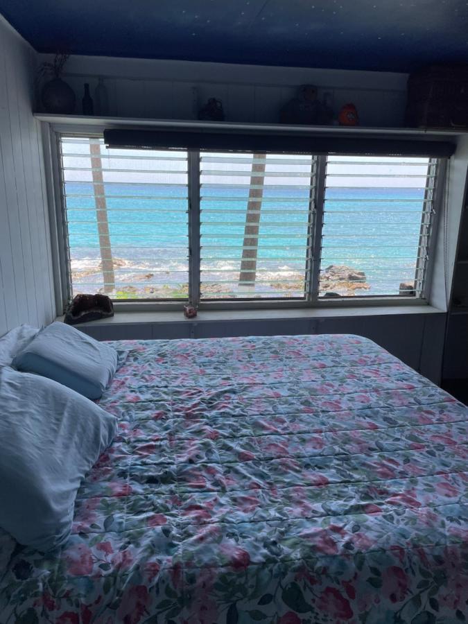 Apartament Moonlight Oceanfront Delight Kailua-Kona Zewnętrze zdjęcie
